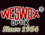 THE WESTERN ELECTRIC & SCIENTIFIC WORKS