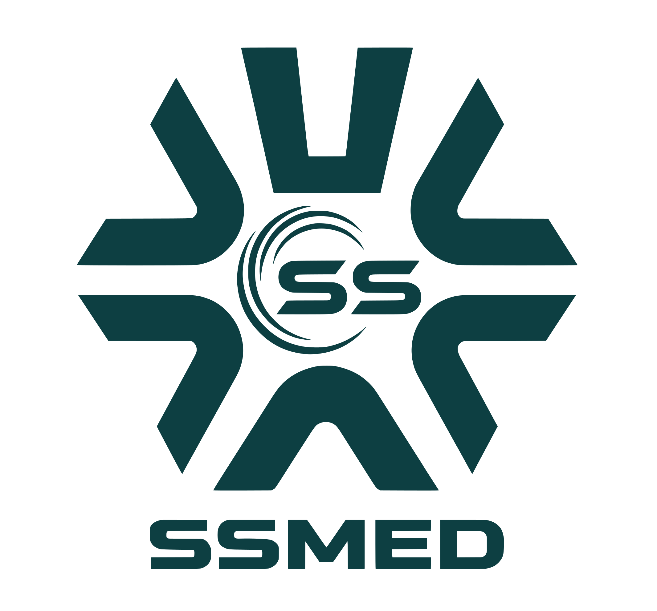 SS MEDICALS(I) PRIVATE LIMITED