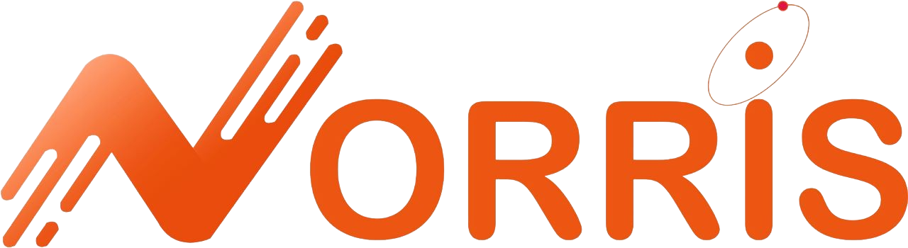 NORRIS ELECTRONICS PRIVATE LIMITED